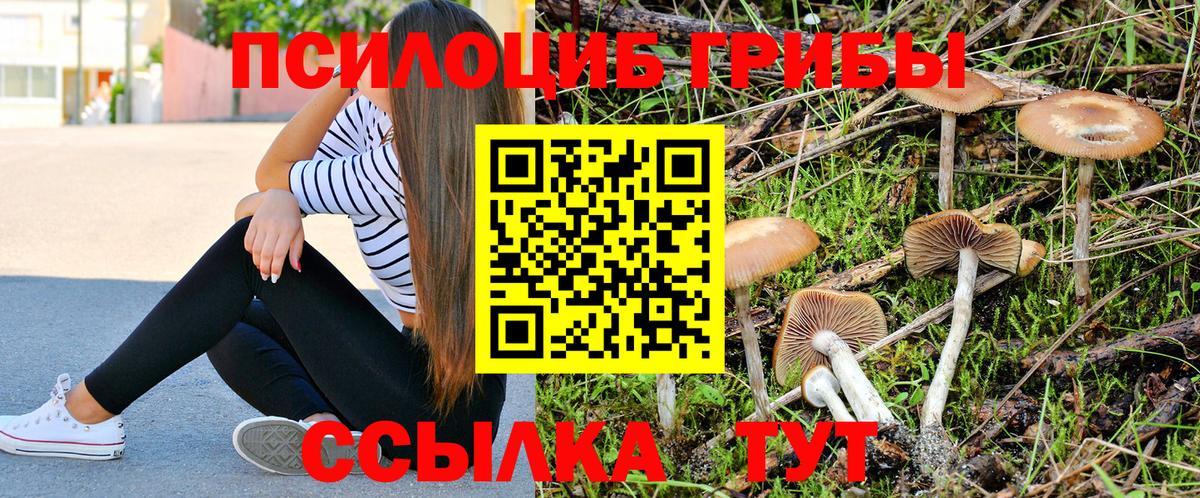 Псилоцибиновые грибы Psilocybe  Вход с VPN  Аша 
